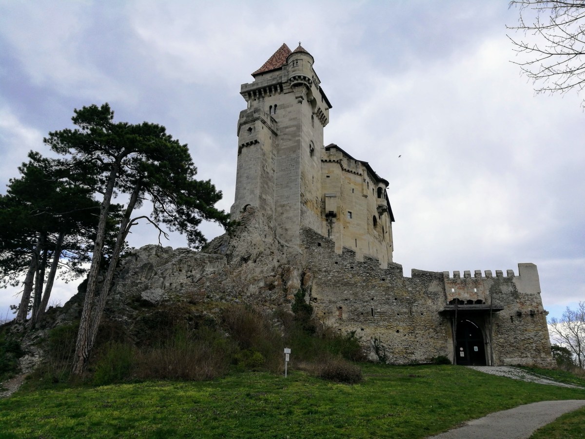 Desde Austria, Carpe&nbsp;Diem